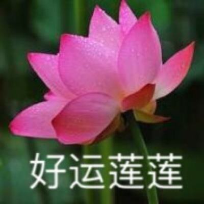 浙江温州：鹿城五大新地标开工 总投资308亿